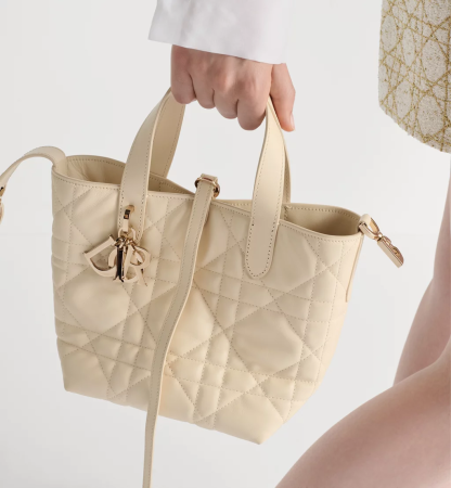 Small Dior Toujours Vertical Tote Bag